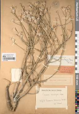 LE 01195924