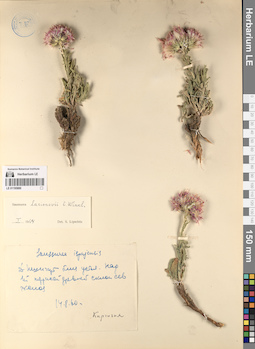 LE 01195880
