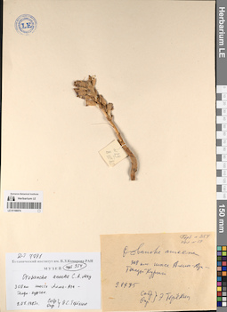 LE 01196074