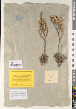 LE 01047623