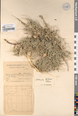 LE 01195942