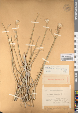 LE 01195927