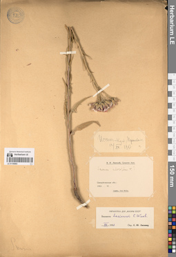 LE 01195883