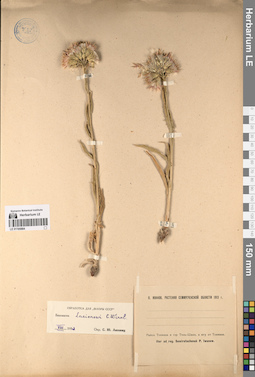 LE 01195884
