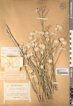 LE 01195928