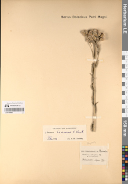 LE 01195885