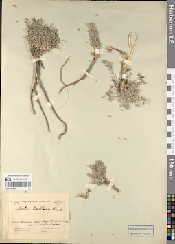 LE 01195946