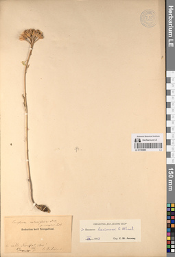 LE 01195886