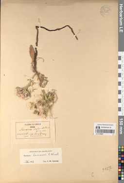 LE 01195887