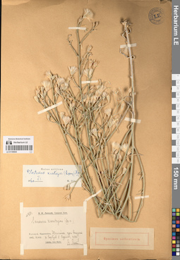 LE 01195930
