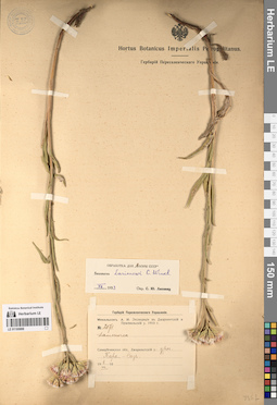 LE 01195888
