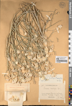 LE 01195931