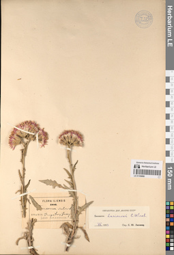LE 01195890