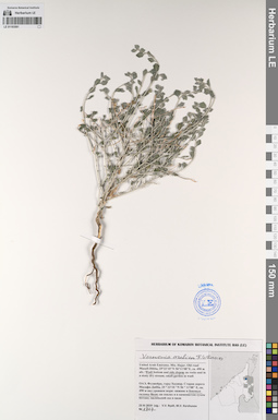LE 01193581