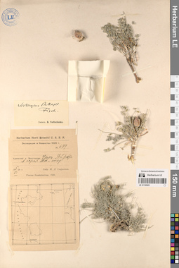 LE 01195951