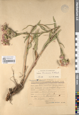 LE 01195892