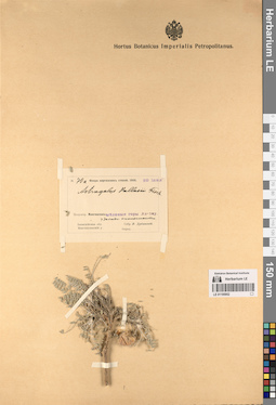 LE 01195952