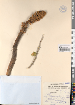 LE 01196085