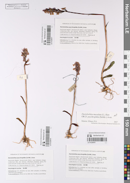 LE 01229476