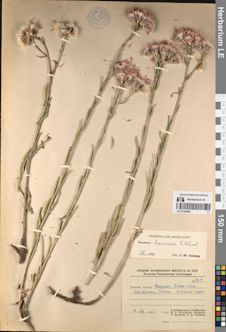 LE 01195894