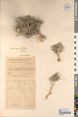 LE 01195956