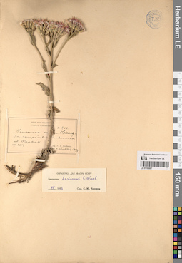 LE 01195897