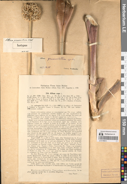 LE 01196414