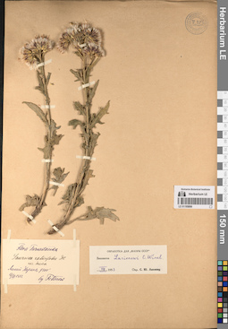 LE 01195898