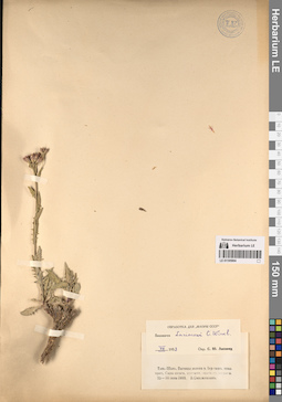 LE 01195904