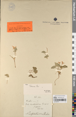 LE 01056778