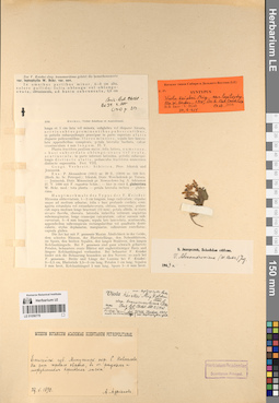 LE 01056779