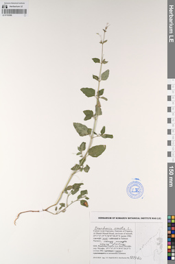 LE 01193599