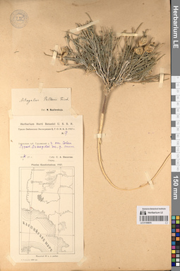 LE 01195970