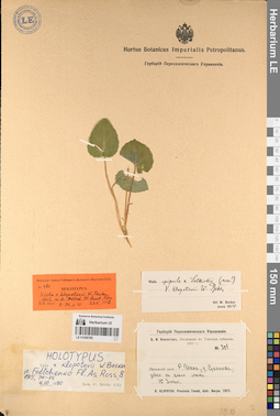 LE 01056780