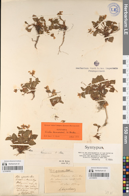 LE 01056781