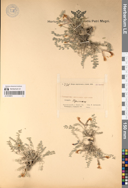 LE 01195972