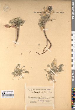 LE 01195973