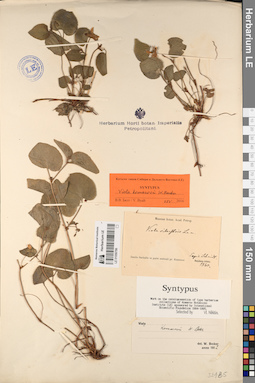 LE 01056786