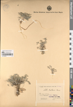 LE 01195976