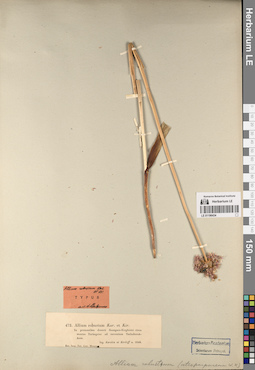 LE 01196434