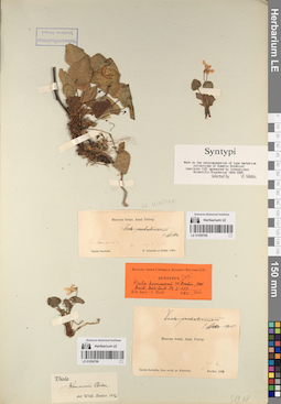 LE 01056790
