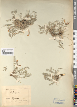 LE 01195977