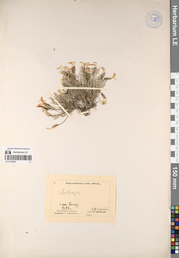 LE 01195978