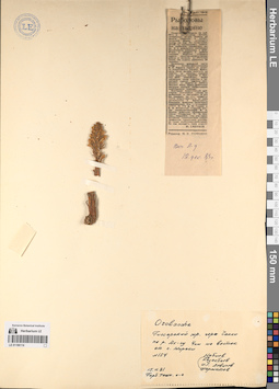 LE 01196114