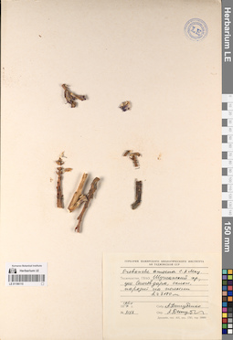 LE 01196115