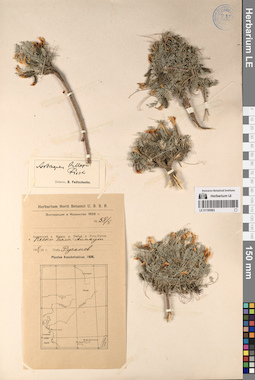 LE 01195983