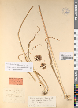 LE 01196522