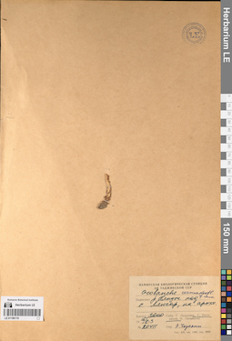 LE 01196119