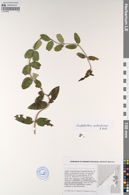 LE 01193619