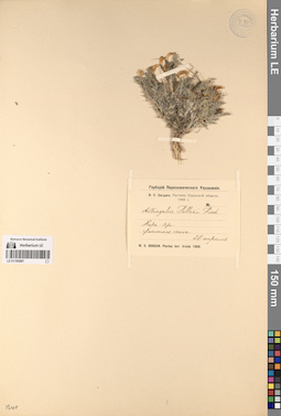 LE 01195987